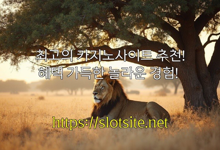 최고의 카지노사이트 추천! 혜택 가득한 놀라운 경험!