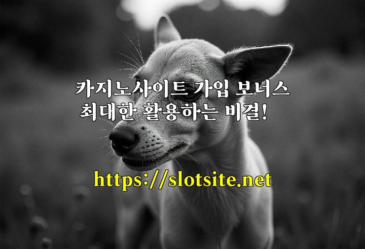 카지노사이트 가입 보너스 최대한 활용하는 비결!