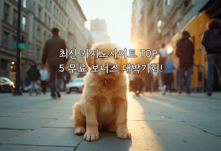 최신 카지노사이트 TOP5 무료 보너스 대박기회!